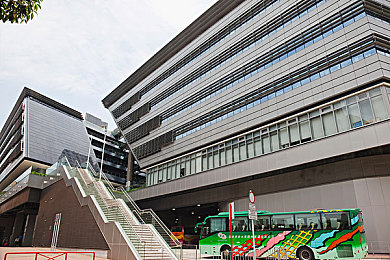 伽罗といちゃつ腿法一针分界：千年武术绝技“伽罗一针分界腿法”揭秘：技巧与故事并重-1