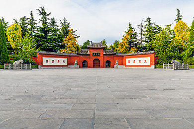 一区二区三区无码免费在线：揭秘一区二区三区：畅游无码免费网络新天地-1