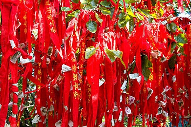 18以下禁止下载软件：守护青春，智能护航——18岁青春版软件体验之旅-2