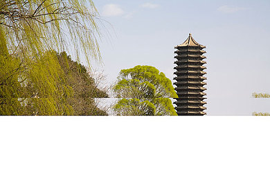 三个老爷弄一个丫头的含义：权谋命运：三老爷争一丫头风云录-4