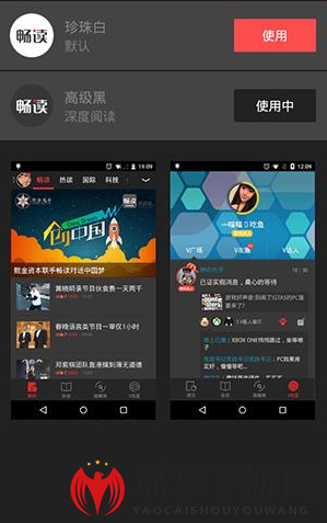 《VIVA畅读》更换主题方法说明介绍
